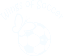 Wings of Soccer